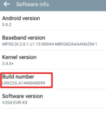 Click on Build Number to Enable Developer Option